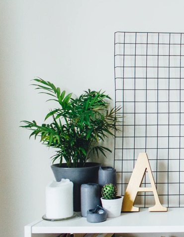 green plant, cactus, and candles all grouped on a table beside a wooden capital a in a white room